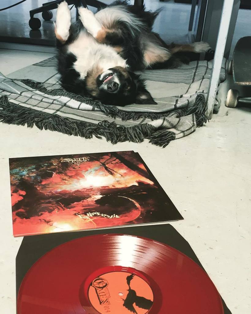 Spell - Red Vinyl Pressing available now, click link in profile header. (Bonnie not includ… ift.tt/1TCgyHG