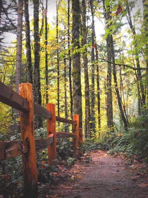 Check out the new fine art &amp; photography exhibit by JoAnn &amp; Leslie Von Pless. Running until June 20th. M-F, 10-2