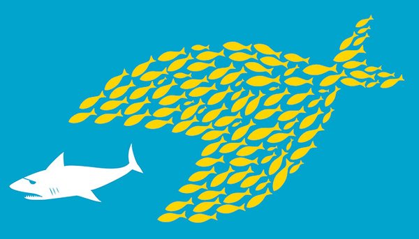 cerveauetpsycho's tweet photo. #IntelligenceCollective : comment le groupe peut-il mieux faire que ses individus isolés ? https://t.co/jg6IauXDuz https://t.co/JE4RYmDm57