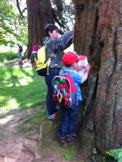 Lacock Primary tweet media