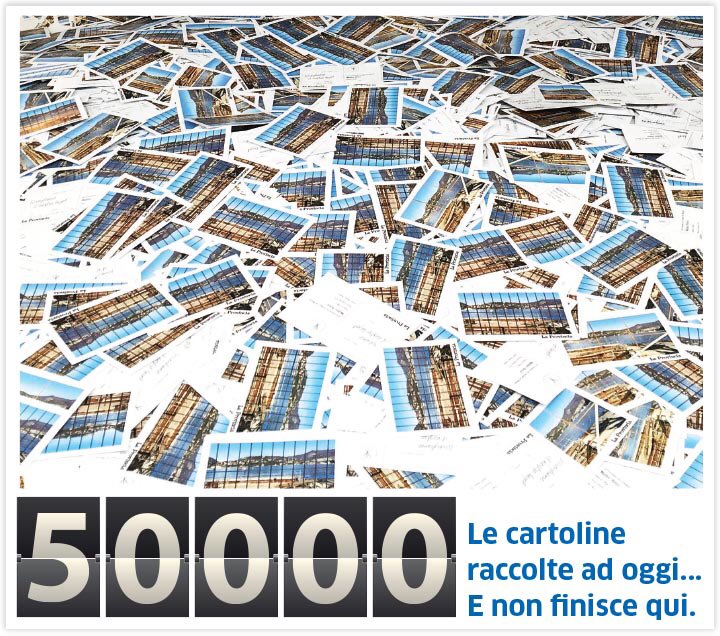 antonella corengia tweet media