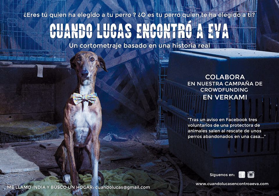 Camino Ivars tweet media