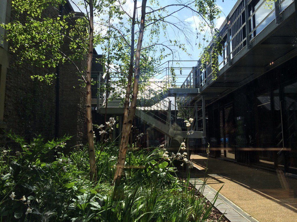 'scuse my reflection - had to snap this morning's view of your gorgeous garden :-) <a href="/roundfield_/">Roundfield</a>