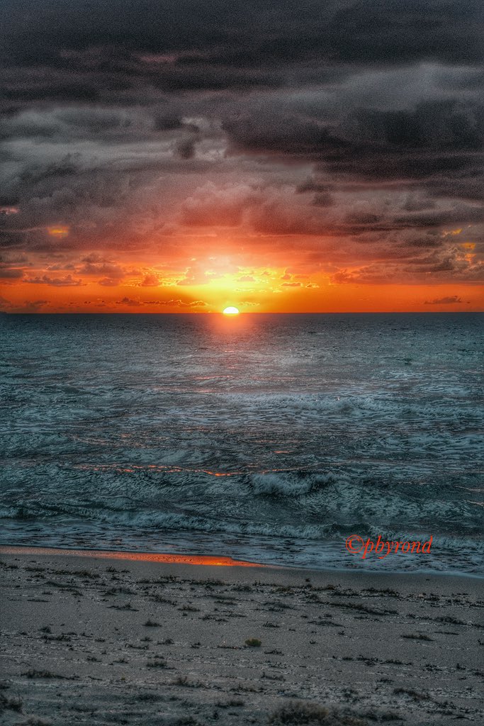 Florida_Solar tweet picture