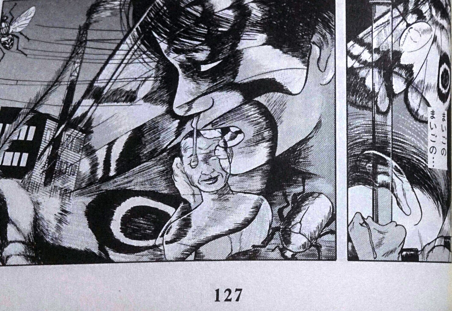 北村灰色 山野一 四丁目の夕日 に於ける 主人公の内面に渦巻く狂気や思考の崩壊が臨界点に達した時の虫 の幻覚の場面に凄く惹かれる まいごのまいごの T Co Elh6fq6ij0 Twitter