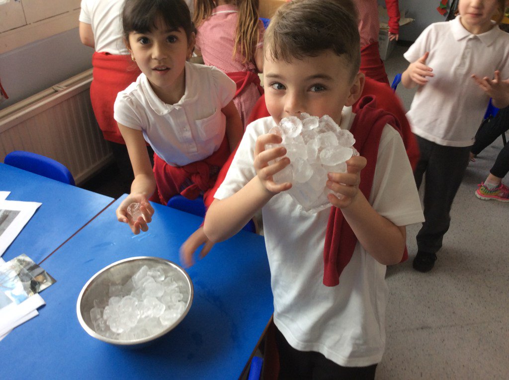 Woodpeckerclass's tweet photo. Explorers https://t.co/CAatM3lbNG https://t.co/HKsNLihN62