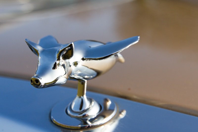 imaterialise's tweet photo. We're introducing our newest 3D printing material! https://t.co/UkltlxYOmY #3dprinting #chrome https://t.co/64uQ2DWl7p