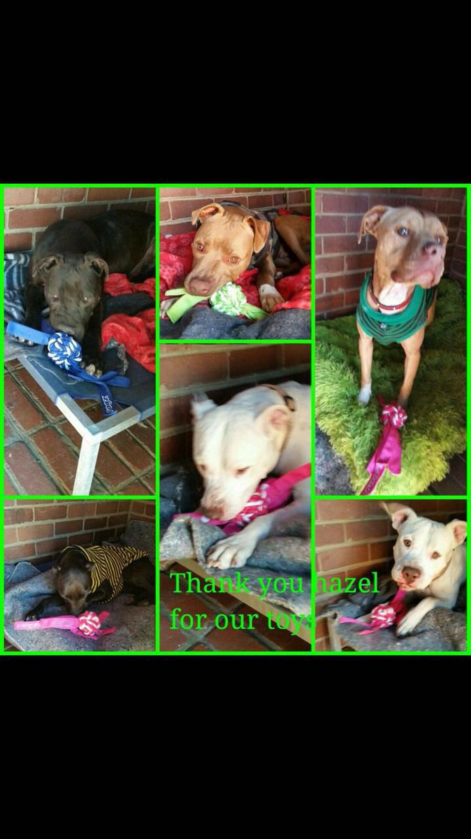 This is what the #ten10 initiative is all about! Please support and donate <a href="/Hazel_Moller/">Hazel Moller</a> <a href="/Graememcc27/">Graeme McCallum</a>