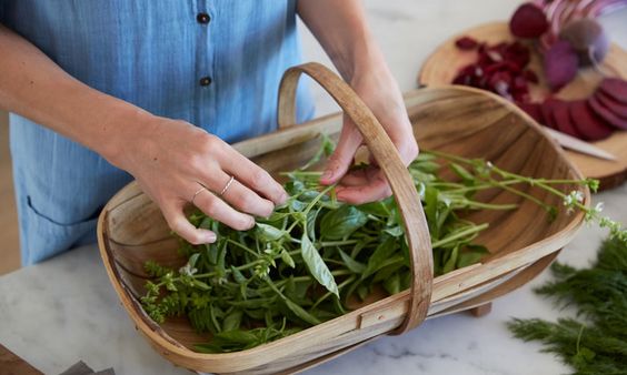 mindbodygreen tweet picture