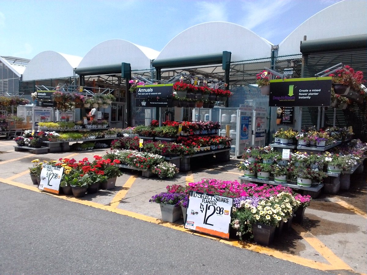 MemorialDaySavings! 2/$10 Annual Hb's,8"WhiskeyBarrel Planters$9.88&amp;More!🇺🇸🌺<a href="/nyyroro/">Ro Rodriguez</a> <a href="/ChristineTHD/">Christine Sweeney</a>