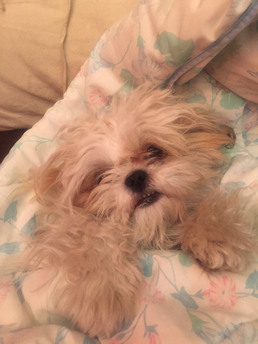 nomesecuestres's tweet photo. Urgente, RT mil. No se perdió ni nada solo es adorable https://t.co/qZKX2Tufl0