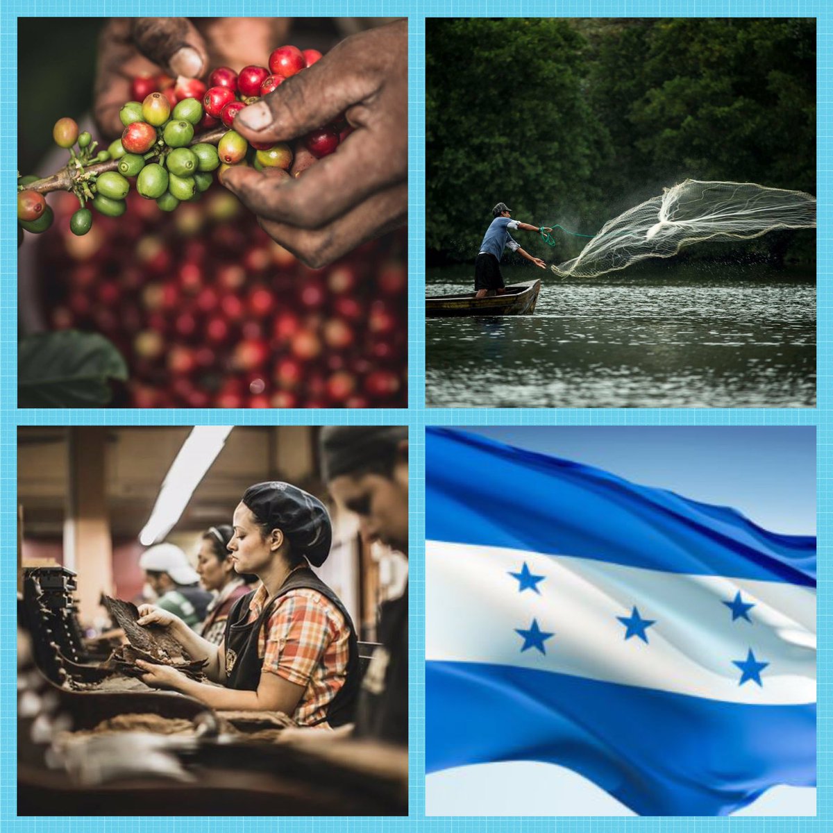JuanOrlandoH's tweet photo. #Honduras es responsabilidad de todos, cada uno desde su lugar hace la diferencia. Hagamos Patria!!! #Avanzamos!!! https://t.co/dXXFEYuQcl