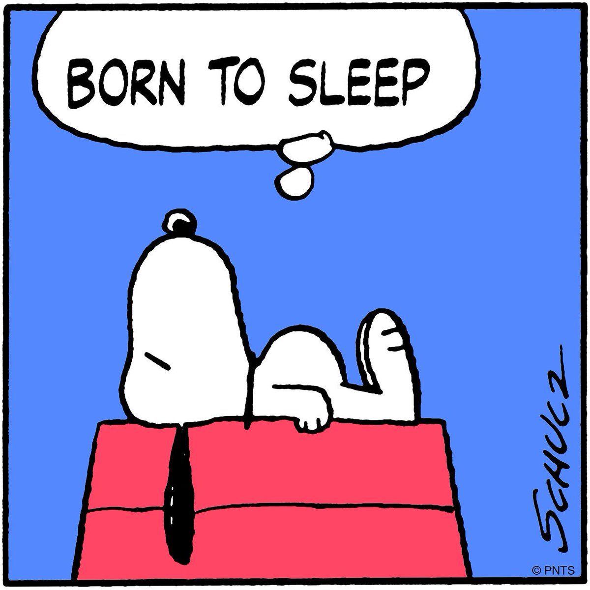 peanuts on twitter born to sleep