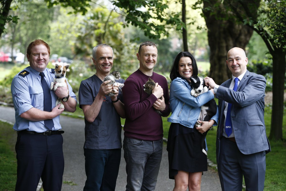 Spayaware's tweet image. #SpayAware 2016 launched today by the #ISPCA w/ @pjgallagher @MicheleMcGrath5 &amp;amp; @petethevet bit.ly/22qddBd