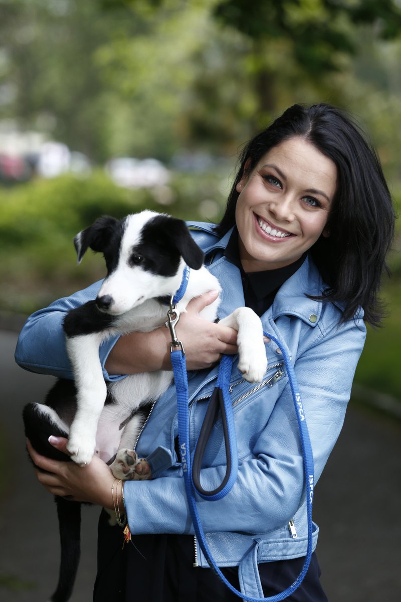 Spayaware's tweet image. For all the information about #SpayAware please visit our website spayaware.ie