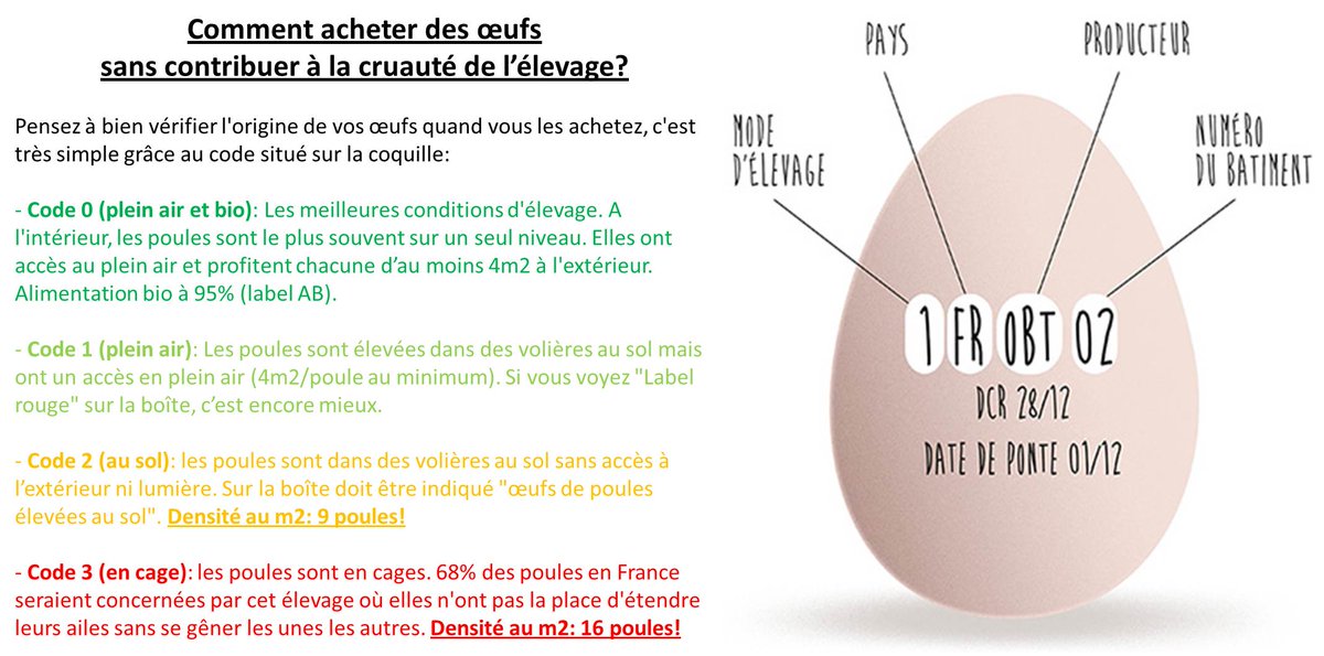 Étiquetage des oeufs