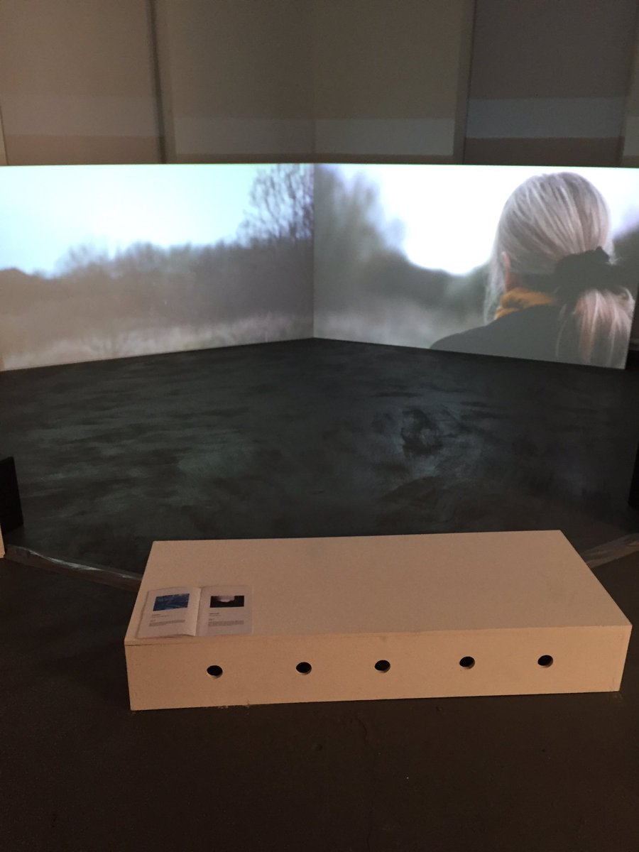 SEESAWysj16's tweet photo. Harriet Sutcliffe's artwork in @SEESAWysj16 exhibition. Winner of @AestheticaMag prize @YorkStJohn #fineart #film https://t.co/aw9iZ52ST6