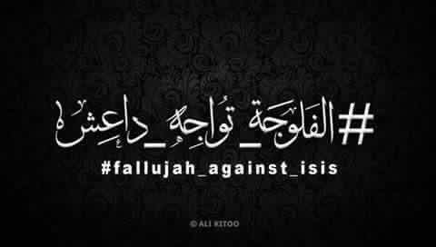 alialrusafi's tweet photo. #الفلوجة_تواجه_داعش https://t.co/rg6If9mFy6