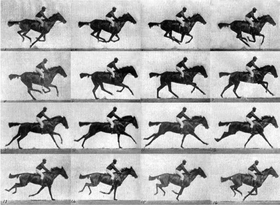 castellani's tweet photo. #EadweardMuybridge was an English photography… https://t.co/S5Lwulcn6s https://t.co/lmUPuwAhy3
