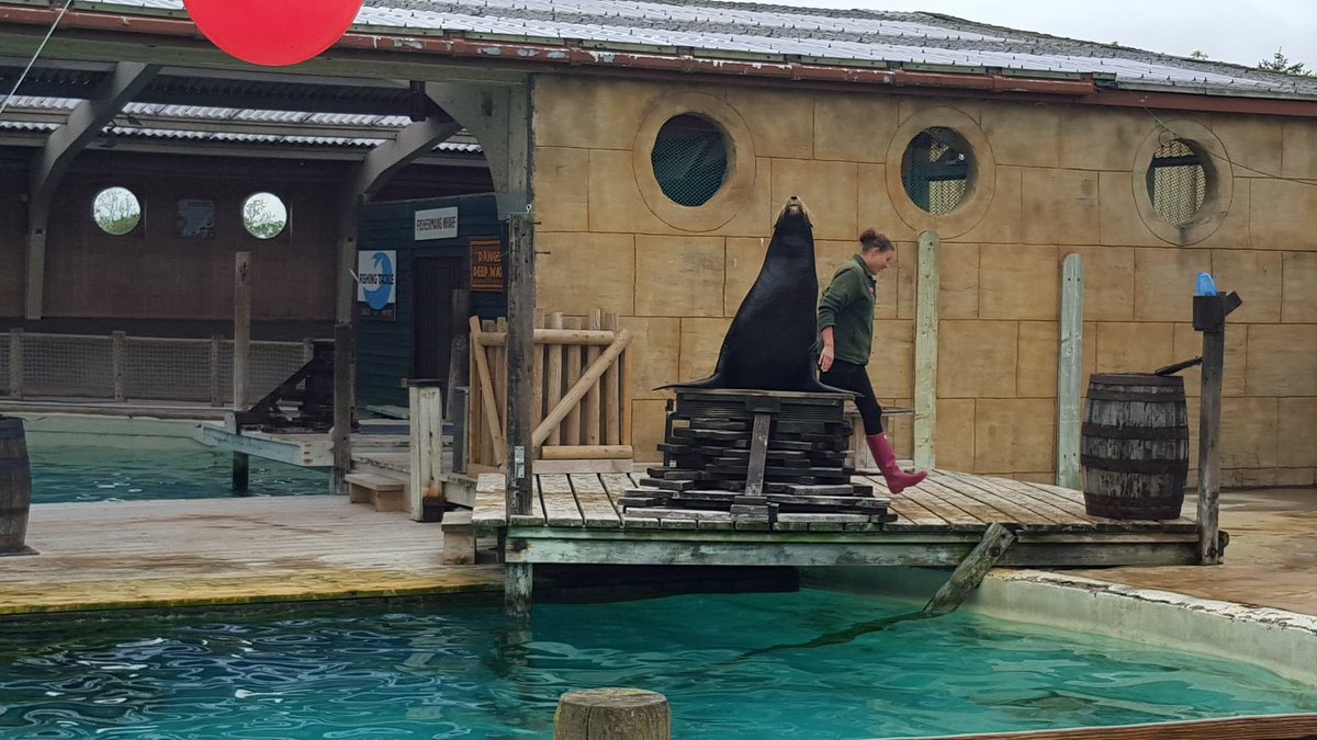 Richard Bonington tweet media