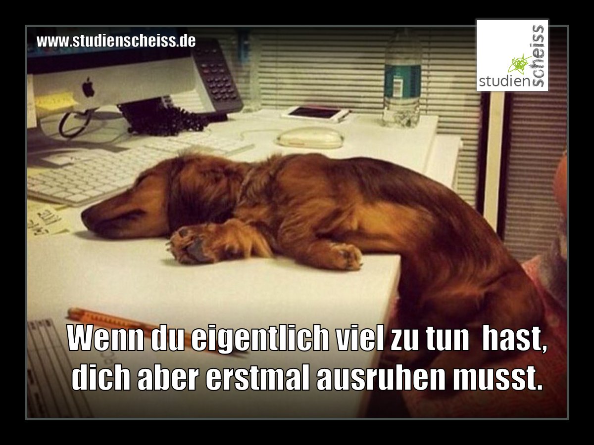 Tim Reichel (@studienscheiss) on Twitter photo Nichts überstürzen, Freunde! 😌
<a href="/studisonline/">Studis Online-Team</a> <a href="/UNICUMde/">UNICUM</a> <a href="/StudierenPlus/">Luisa Todisco</a> <a href="/studiendo/">Studiendo</a> @Studentenagents <a href="/StudyHelpMe/">StudyHelp</a> Nichts überstürzen, Freunde! 😌
<a href="/studisonline/">Studis Online-Team</a> <a href="/UNICUMde/">UNICUM</a> <a href="/StudierenPlus/">Luisa Todisco</a> <a href="/studiendo/">Studiendo</a> @Studentenagents <a href="/StudyHelpMe/">StudyHelp</a>