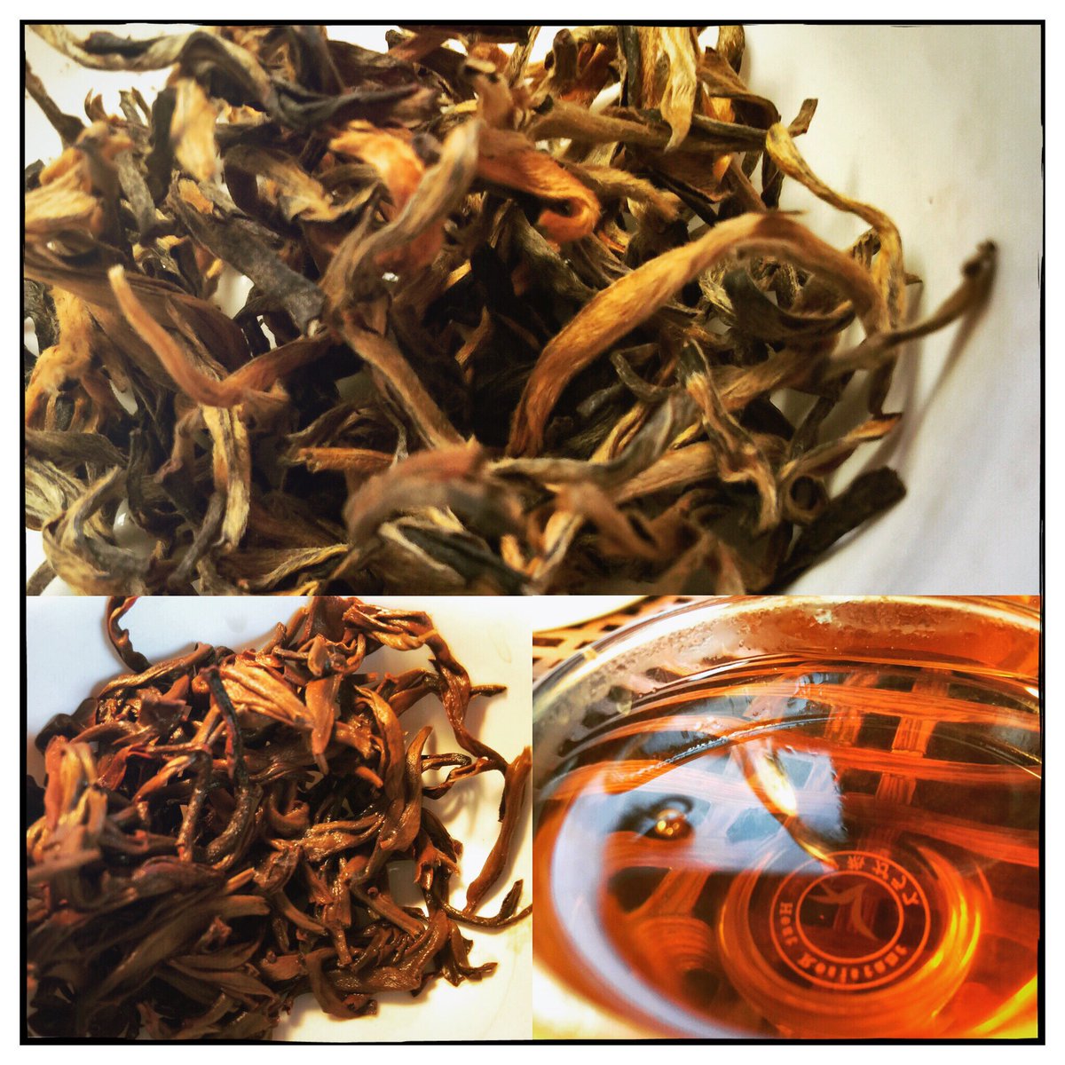 nordictea's tweet photo. Tasting Wu Liang Hong Mao Feng #Yunnan Black from @yunnansourcing  - lovely! #redtea #teatasting #teaclub https://t.co/yC5DhFvTGf