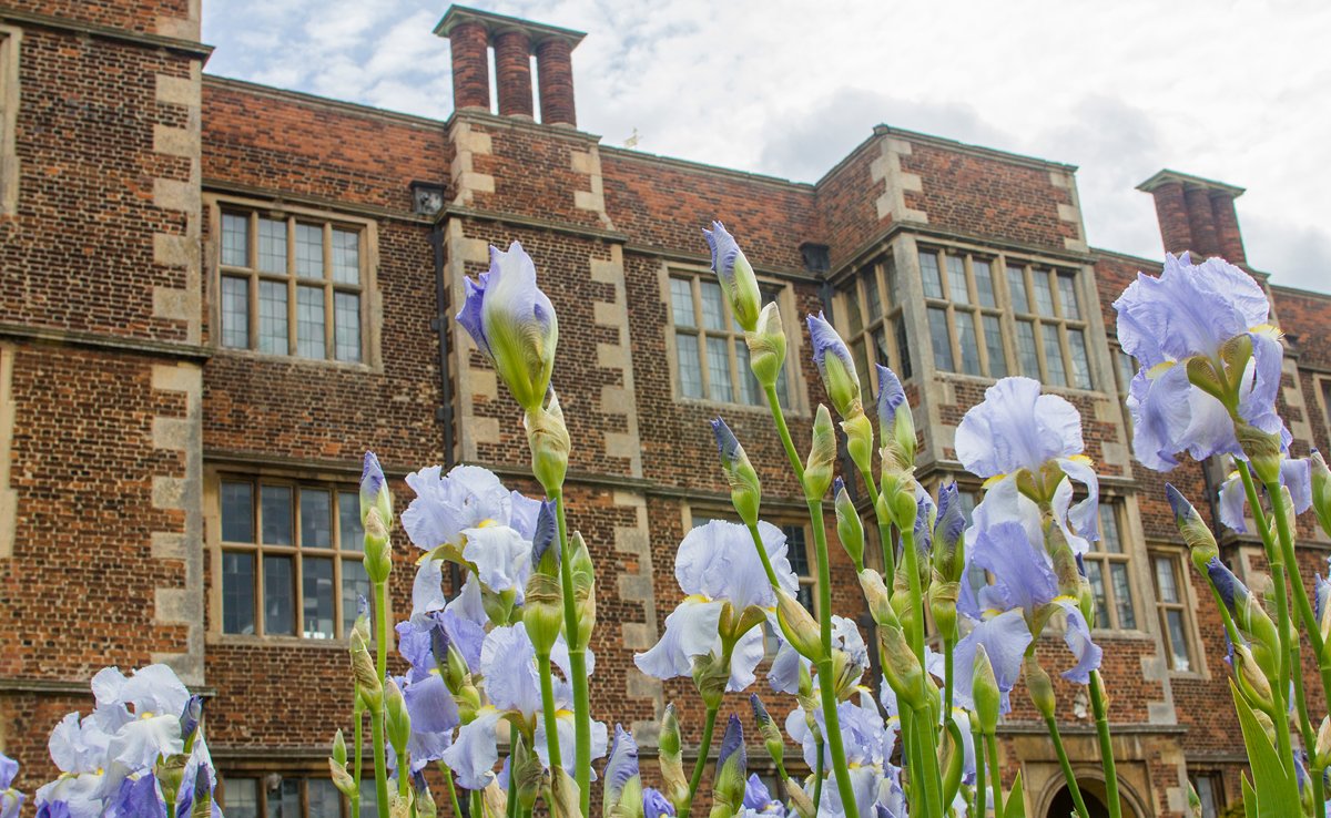 This week is Iris Week at <a href="/DoddingtonHall/">Doddington Hall</a>, plus there are two street markets in Lincoln.
visitlincoln.com/whats-on/all/w…