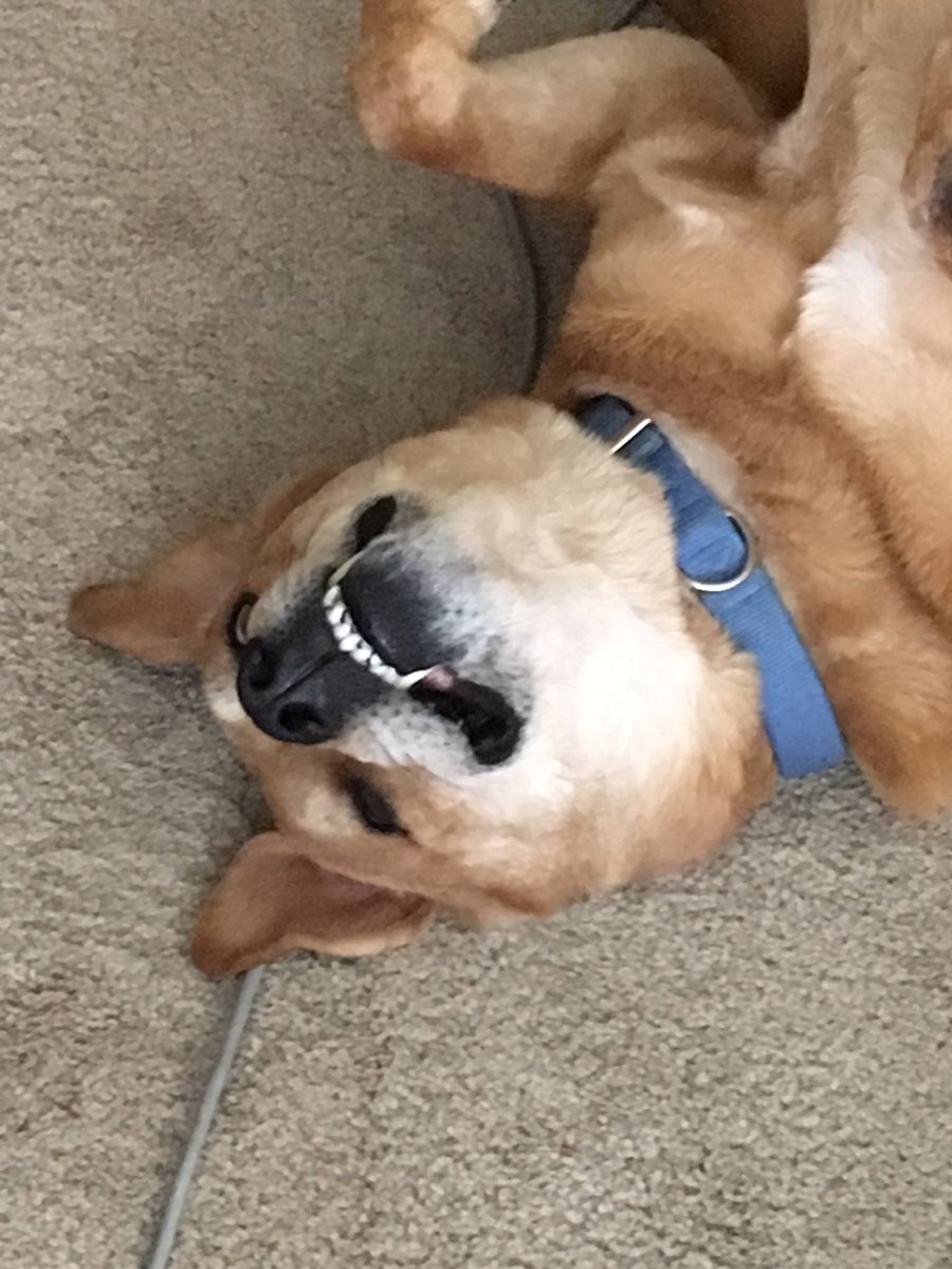 webdesignsyour's tweet photo. Start the day off with a smile and it can change your whole day in a good way! #webdesignsyourway https://t.co/qYa2sooZt1