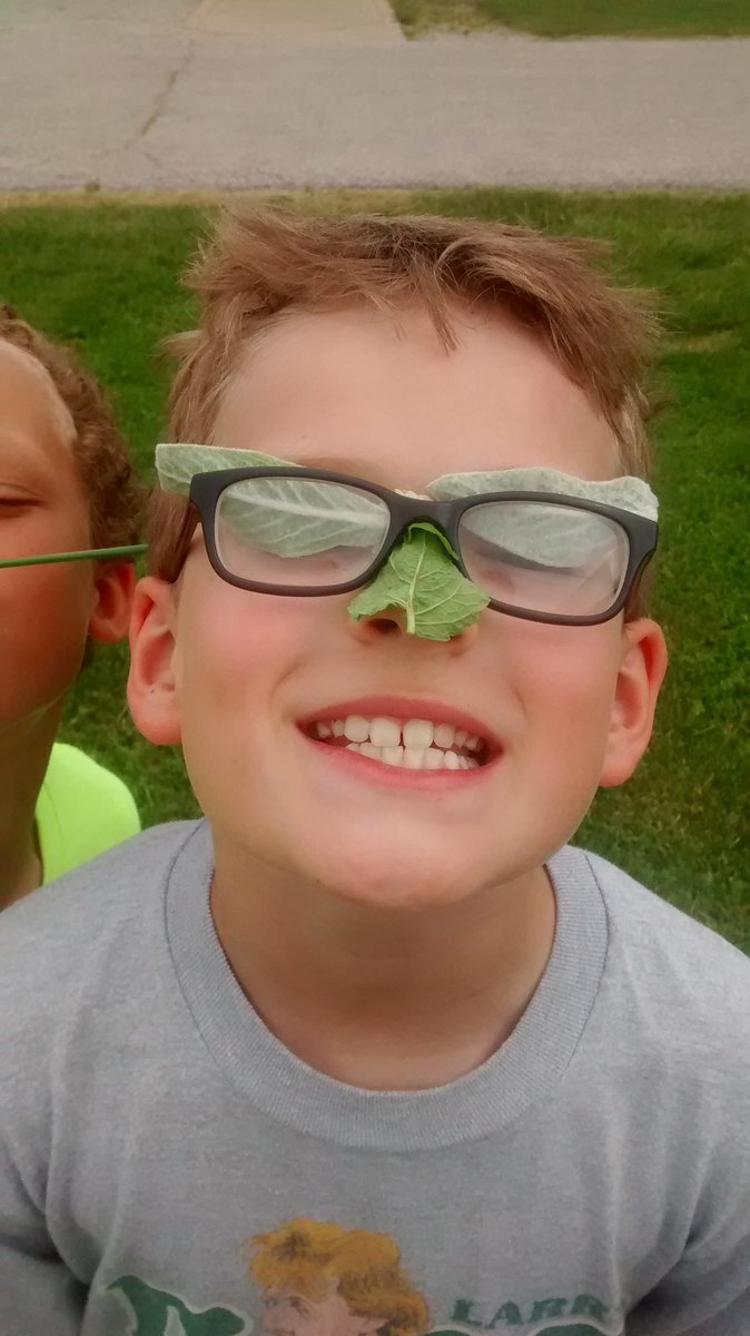 SirLearnALot's tweet image. Becoming one with nature