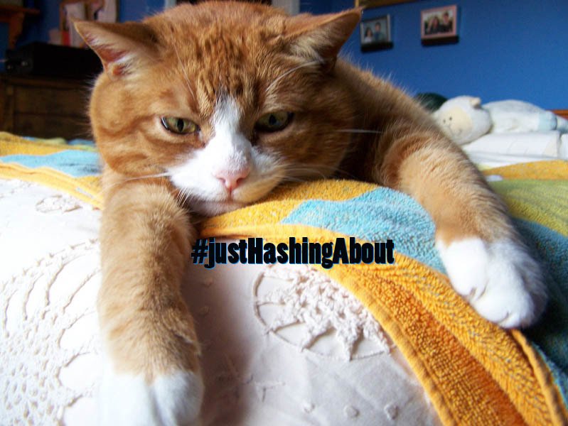 HashtagRoundup's tweet photo. #InternetCommandments via #JustHashingAbout: @CutUpX2 &amp; @LouGeese Our Top Picks
https://t.co/eziZ0MICaj https://t.co/x3kx6AfBkV