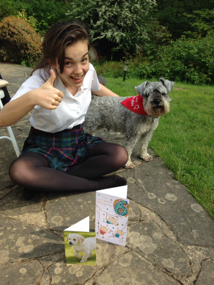 schnauzergeorge's tweet photo. It's my birthday! I'm 6 today! I'm with @SashaNouyou celebrating! https://t.co/BzVJ5vAOsa