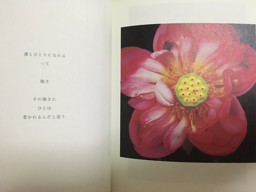 結婚のずっと前 結婚のずっと前
