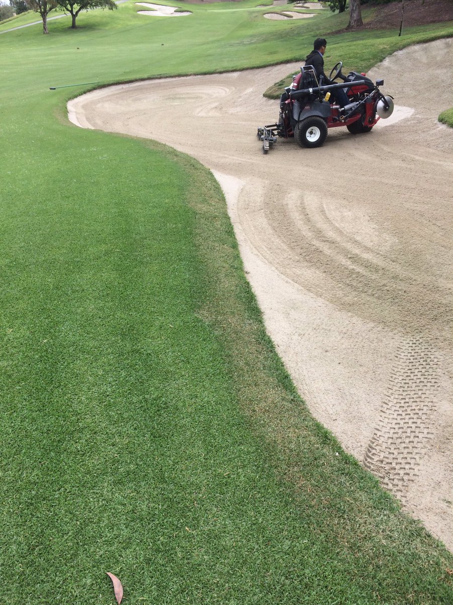 scotdey's tweet photo. Legacy doing exactly what we need on our bunker edges one week out from #LaFiesta #MemberGuest #ControlledGrowth https://t.co/mICLY7QCFA