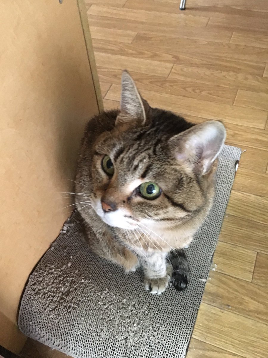 plus_one_H2's tweet photo. この垢は6月で削除します。新垢でお待ちしております😄おやすみなさい😴 https://t.co/zCLsKVBFxb