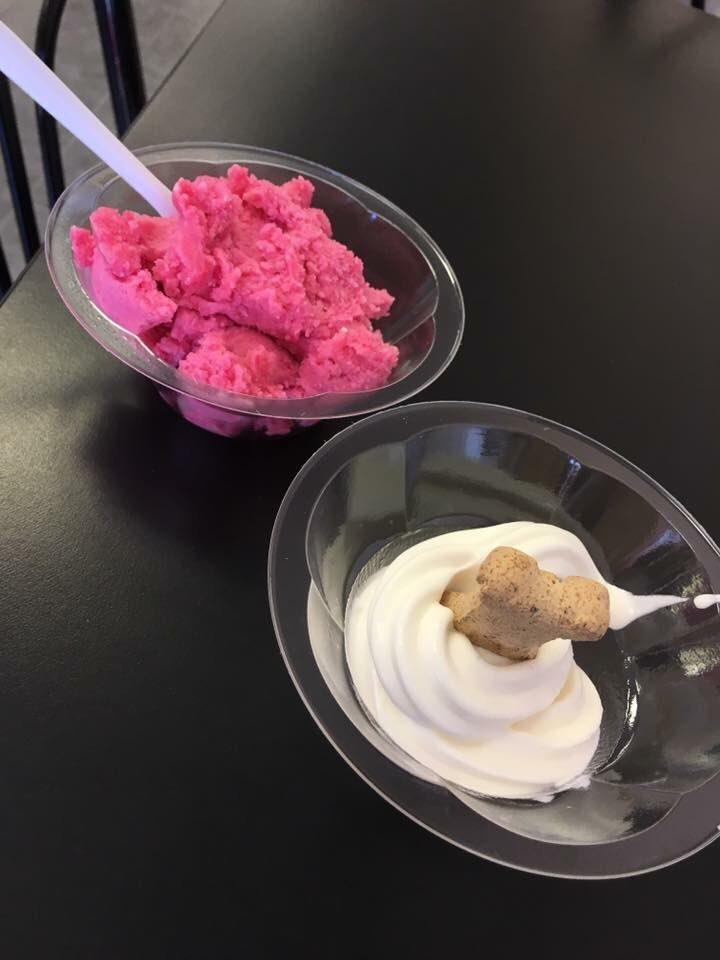 Dairy free options and something for your furry friends! #icecream #SupportLocalBusiness #coolencounters #winnipeg🍧🐶