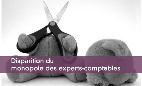 ComptaOnline's tweet image. Le monopole m'a tuer... ? #ExpertComptable @Philibarr @Bready_officiel bit.ly/1ka9Qxc