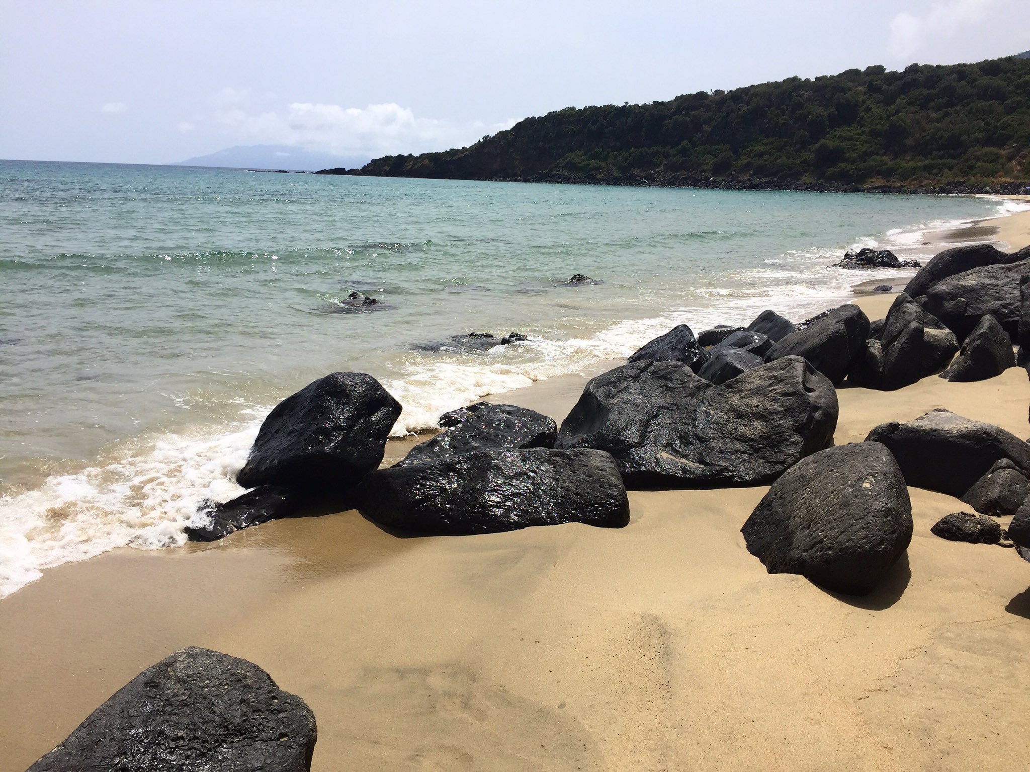 Grace McCatty on Twitter