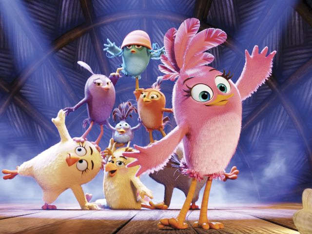PinkStellaBird's tweet photo. Alright, girls! Today, we'll celebrate the #AngryBirdsMovie is #1 movie in America! https://t.co/1Lzghqpuad