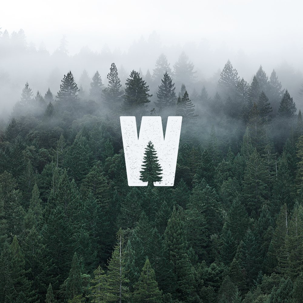 designbyspirit.com tweet media