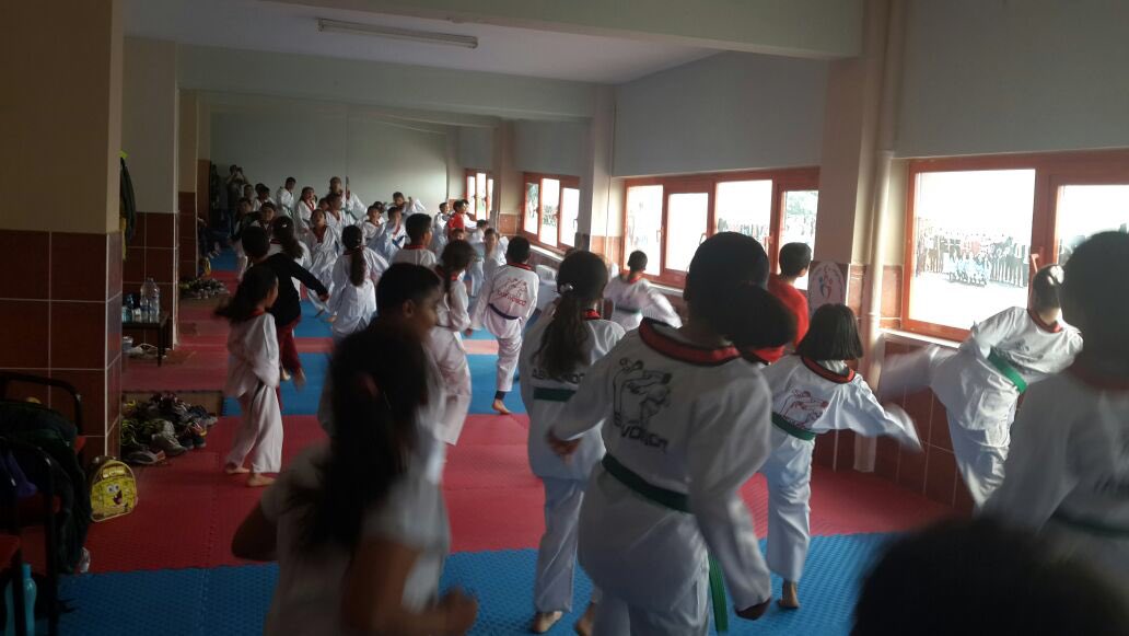 GSB_Nevsehir's tweet photo. Gülşehir Taekwondo antrenmanımız https://t.co/e0cYytgm6O
