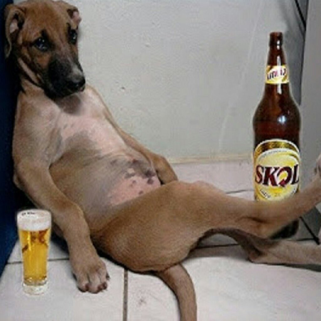 VdeBorrachos's tweet photo. Y yo estoy aquí, borracho y loco! 🎶🎶🎵🎵💃🏻💃🏻 https://t.co/R63Zlgbg1j