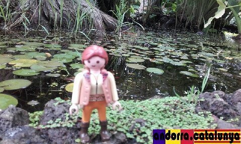 yopp_and's tweet photo. El llac dels somnis cada nenufar un somni. ➖➖➖➖➖➖➖➖➖➖➖➖➖➖➖
#descobreixcatalunya #andorraworld #secretsofandorra #ca… https://t.co/jgTJZuQcoA