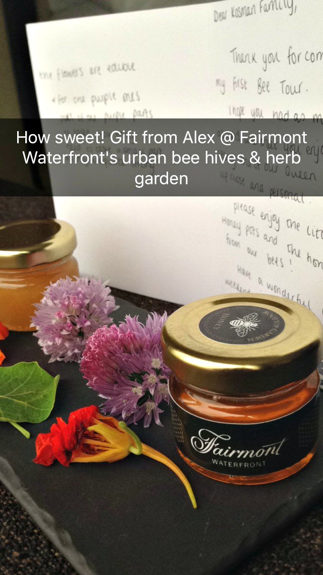 BarefootNomads's tweet photo. Lovely! Fresh honey @FairmontWF #fairmontwaterfront #fairmontbuzz #beebutler #Vancouver #honey #bees #familytravel https://t.co/Kvm4VC9SwD