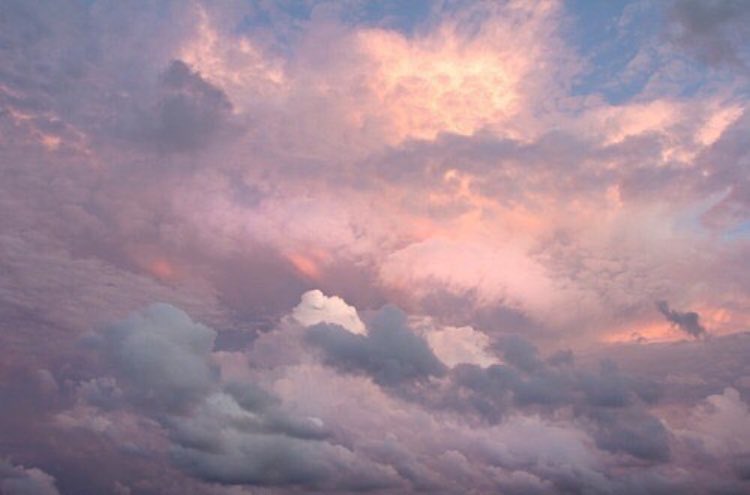 pic Pink And Purple Soft Aesthetic soft pink purple aesthetic taurus
