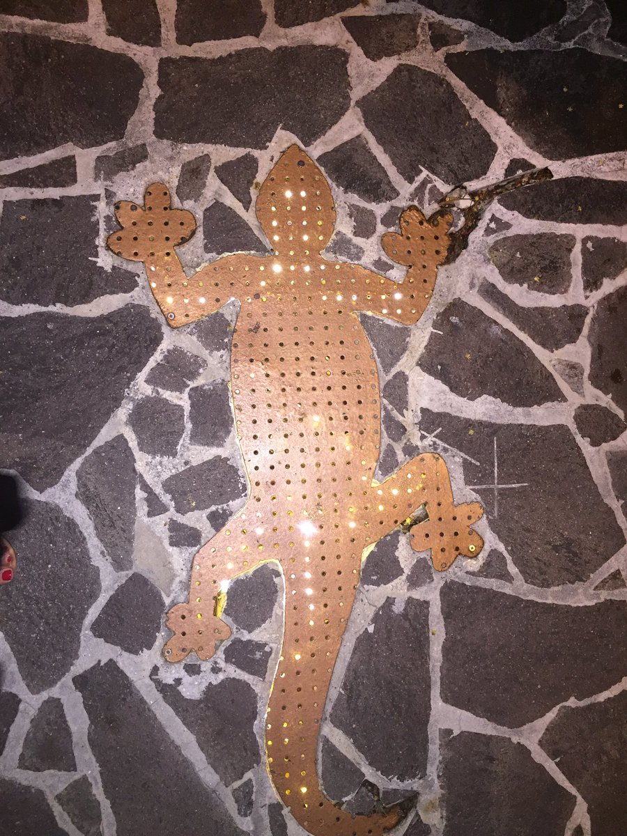 GBHospitality's tweet photo. Follow this little fella 4 #worldclassfood #tophospitality #SecretGarden #eddies #stbarts #saintbarth #luxurytravel https://t.co/eOouQVycYz