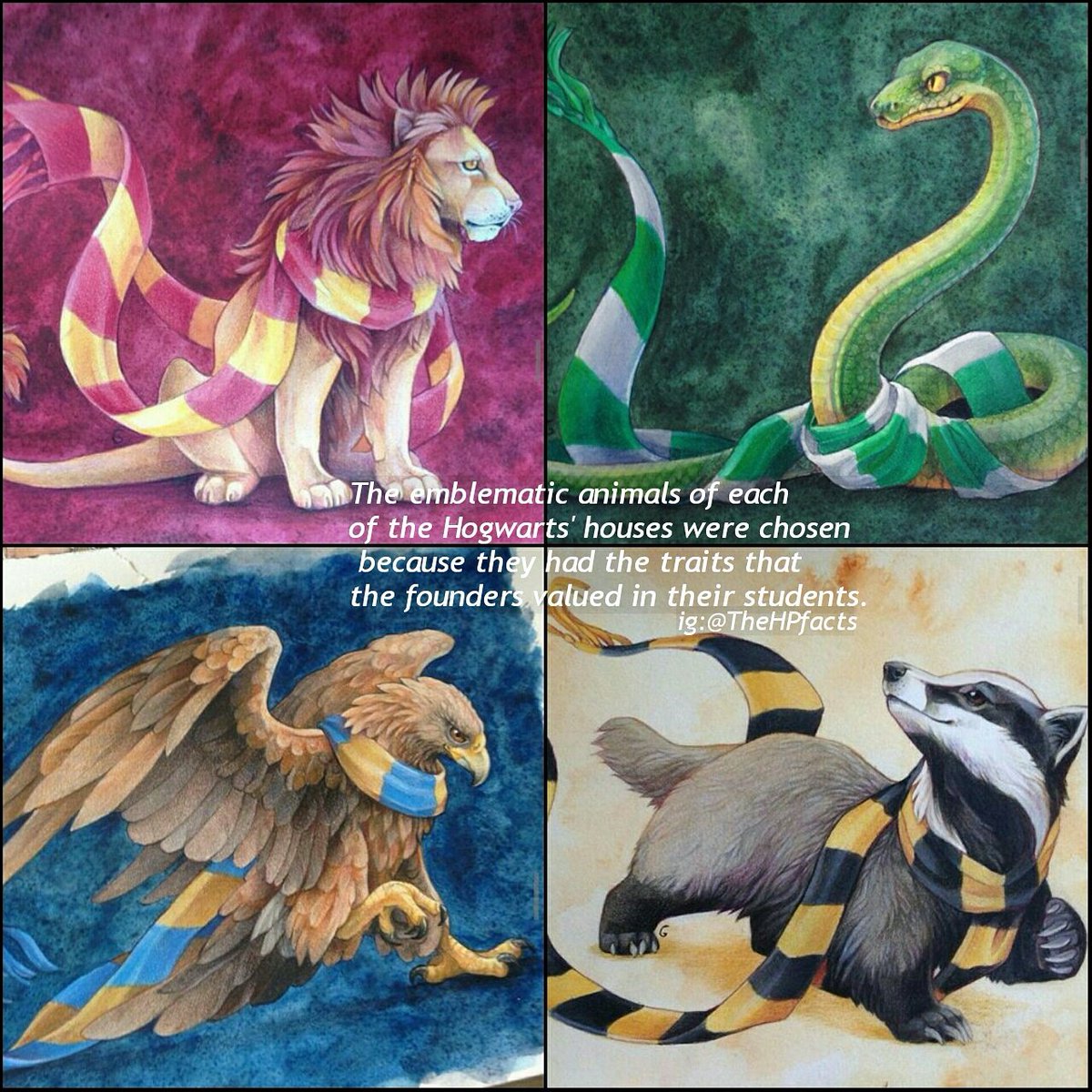 Harry Potter Stuff ⚯͛ on Twitter: Harry Potter Stuff ⚯͛ on Twitter: