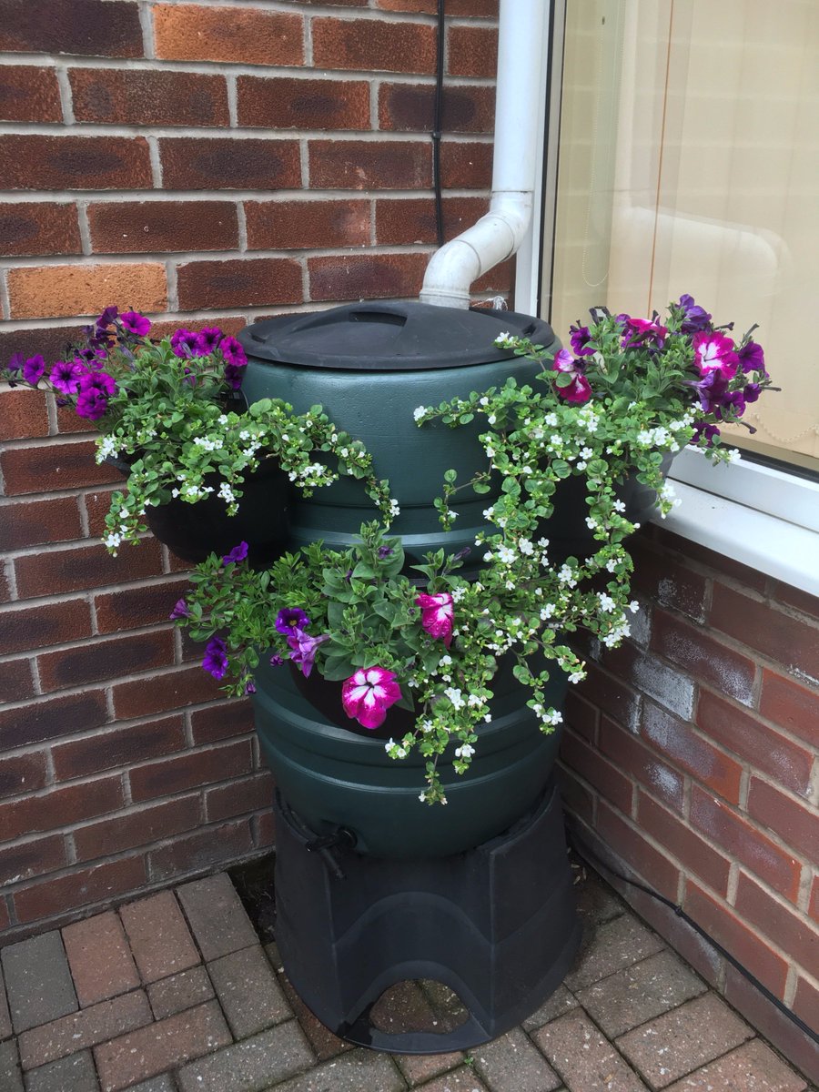 services_lc's tweet image. Ooo look how they have grown @buttacup