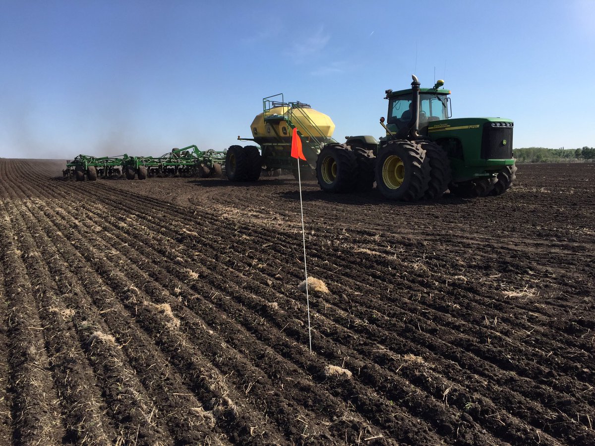 robmakowsky's tweet photo. Perfect morning for a @DEKALB_Canada canola trial to hit the ground near Birch Hills, SK.  @jesskruda @erincote7298 https://t.co/EiChfIdKwV