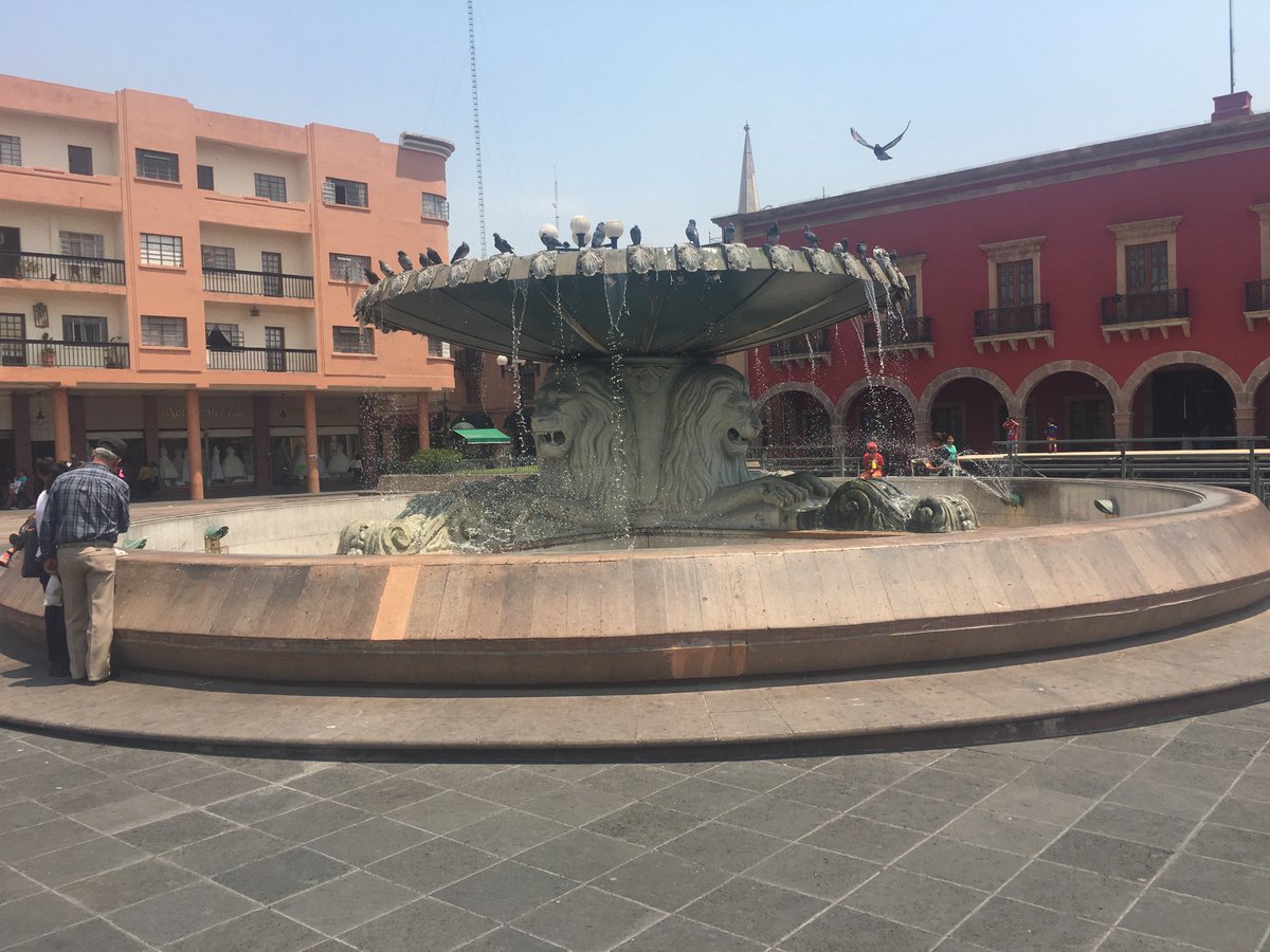 VrixFullF's tweet image. León!!!!