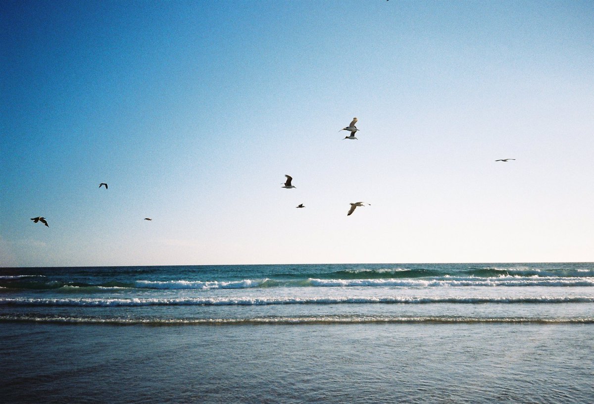 Andrez_Filipe's tweet photo. Tirado do primeiro rolo. #leicamini2 #35mm #film #kodak200 https://t.co/LMyay1UvrS